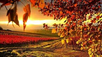 Fall Wallpaper HD