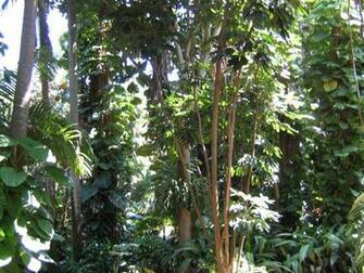 Tropical Landscape Wallpaper Florida Sceneries
