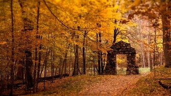 Wallpapertop Wallpaper Nature Autumn Cool