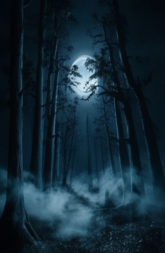Dark Forest With Moon Wallpaper