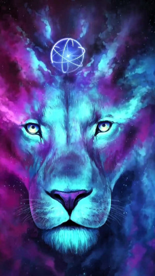 Explore Cool Animal Galaxy Wallpaper