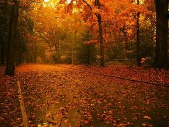 Autumn Desktop Wallpaper In New England