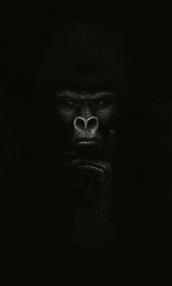 iPhone Xs Max Gorilla Background X Wallpaper