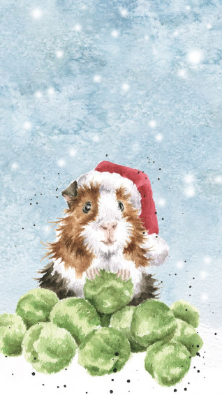 Adorable Guinea Pig Phone Wallpaper