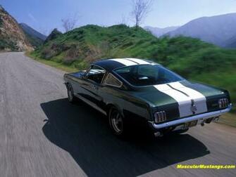 Shelby Gt350 Mustang Wallpaper