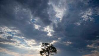 Image National Park In Zimbabwe November Photo Yahoo News