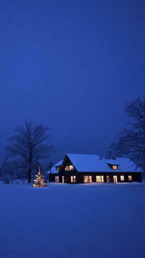 Christmas Tree Category Holiday Occasions Size 275k Updated
