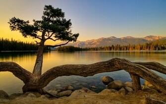 Relaxing Wallpaper