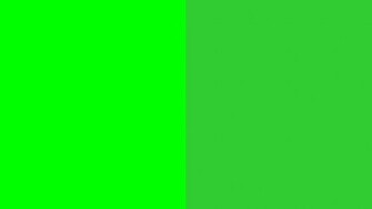 Resolution Lime Web Green And Solid Two Color Background