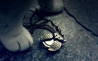 Owl Pendant Wallpaper