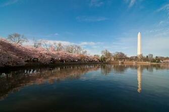 Wallpaper City Washington Dc