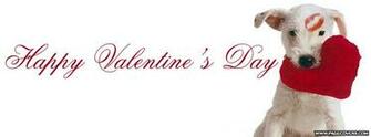 Wallpaper Background Happy Valentines Day Timeline Cover