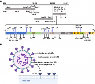 Proteomics Research Of Sars Wallpaper