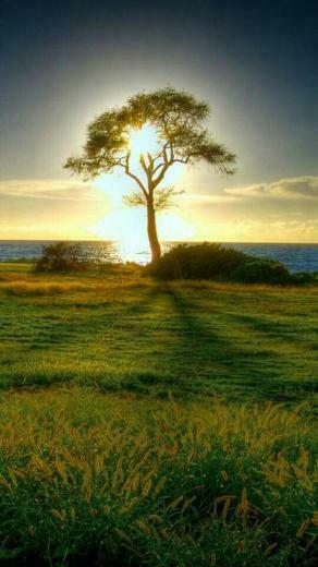 Davinder Singh On Morning Sunrise Wallpaper iPhone