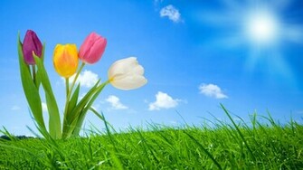 Spring Wallpaper For Computer HD Background