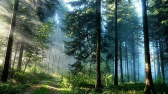 Adventure Background Wallpaper For Pc Gsfdcy Graphics
