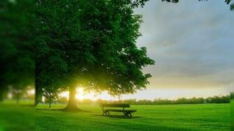 Top Beautiful Nature Wallpaper Image Photos Pics And