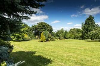 Trees Background Image Mather Naturesky Lawn Grass Nature