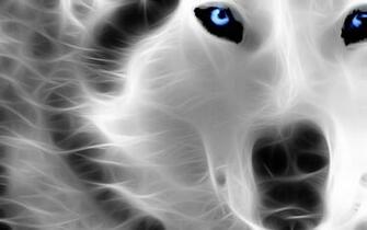 Wolf Animal Wallpaper 3d HD