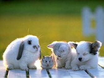 Share With Friends Best Friendship Wallpaper