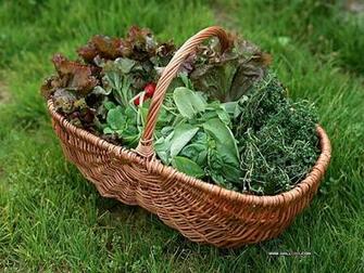 Wallpaper Desk Vegetable Garden Flower