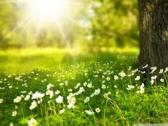 Wallpaper Spring