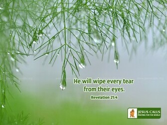 Right Click On This Image And Select Set As W Allpaper Or