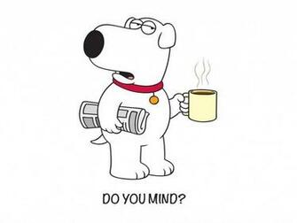 Wallpaper Family Guy Brian Griffin