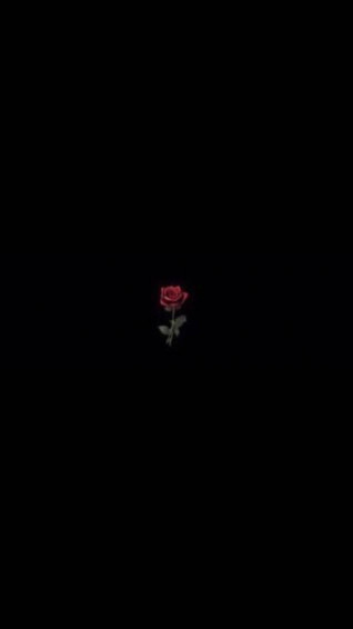 Black Aesthetic iPhone Red Rose Wallpaper