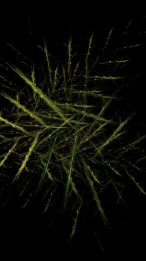 Pine Black Background Widescreen Fractal Art Wallpaper