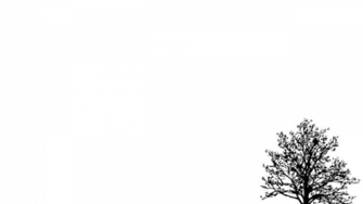 Simple Background Pictures