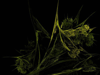 Cannabis Wallpaper