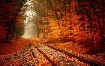 Autumn Leaves Wallpaper
