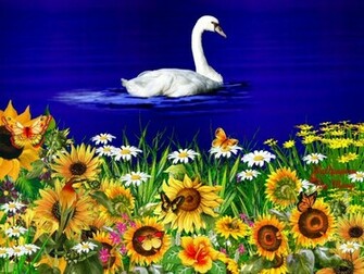 Spring Flowers Wallpaper The