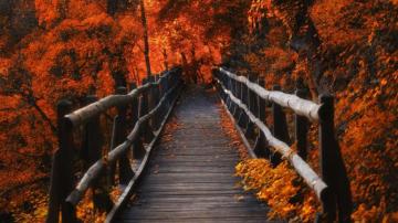 Autumn Season Wallpaper Enjpg