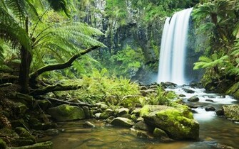 Forest River Waterfall Wallpaper