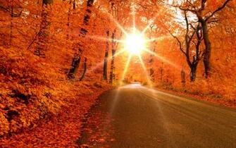 Autumn Road Wallpaper Stock Photos