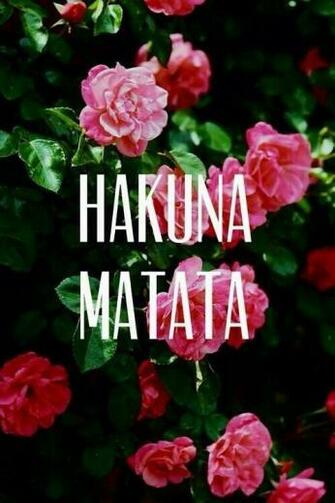 Hakuna Matata Wallpaper