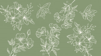Sage Green Desktop Wallpaper