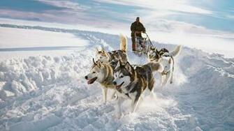 Sledding Wallpaper At Wallpaperbro