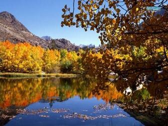Windows Xp Autumn Wallpaper Weddingdressin