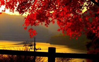 Autumn Leaves Wallpaper