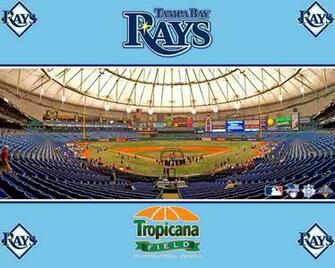 Tampa Bay Rays Wallpaper Baseball Sport