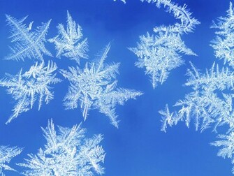 Snowflake Photo Wallpaper Stock Photos