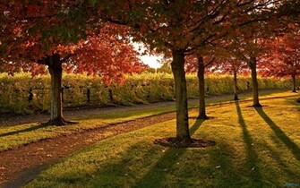 Scenic Wallpaper Autumn For Desktop