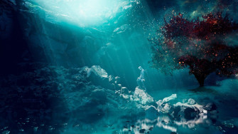 Underwater 4k Wallpaper