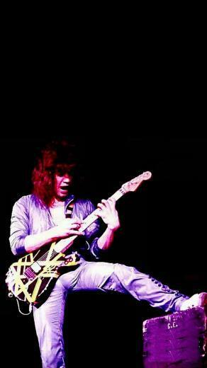 Van Halen Cool Wallpaper