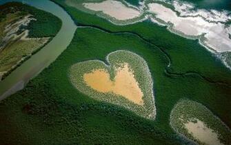 Heart In Voh New Caledonia French Territory Widescreen Wallpaper