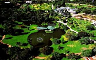 Jardin Botanico Orquideorama Medellin Colombia Wallpaper