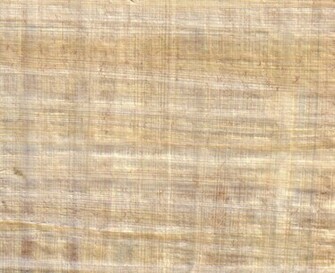 Papyrus Paper Wallpaper By Modulis